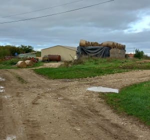 Boucle au pied de Sancerre - Sancerre - 3