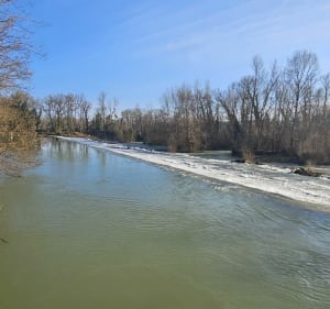 Promenade le long de l' Adour - Grenade-sur-l'Adour - 5