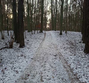 Górki na Mazowszu - Płock - 3