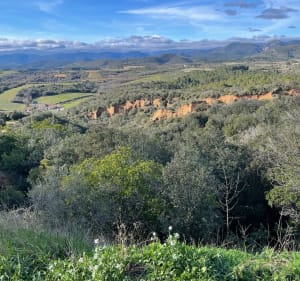 Petite randonnée à Réals et Bois de Veyran - Murviel-lès-Béziers - 4