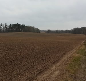 5KM wokół KPPT - Górki - 4