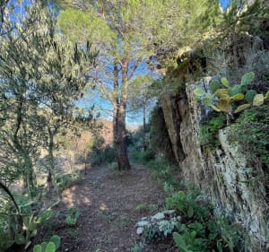 Argeles sur mer et le chemin de l’eau - Argelès-sur-Mer - 3