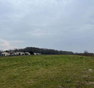 Bossuet commune de Saint Denis De Pile - Saint-Denis-de-Pile - 3