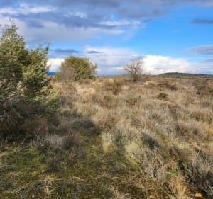 Le sentier du Thym à Lablachère - Lablachère - 3