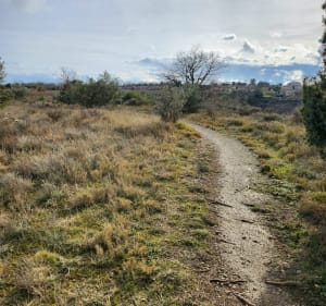 Le sentier du Thym à Lablachère - Lablachère - 4