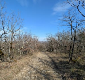 Vallée de Bonnan - Milhars - 5