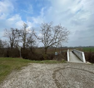 Autour de Ruelisheim - Ruelisheim - 5