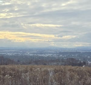 Długa pętla wokół lasku Wolskiego i dwóch kopców - Kraków - 3