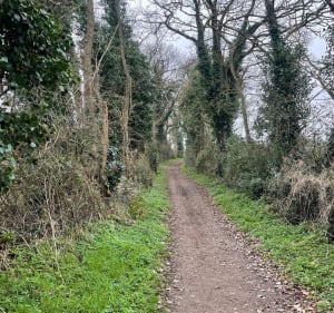 Jolie balade par le Parc Ribou et La Moine - Cholet - 5
