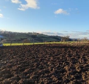 Campagne de Saint-Just-la-Pendue - Saint-Just-la-Pendue - 4