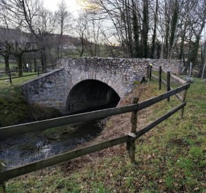 Campagne de Saint-Just-la-Pendue - Saint-Just-la-Pendue - 5