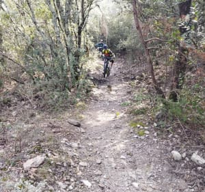 Céret par Montbolo et Amélie à VTT - Céret - 4