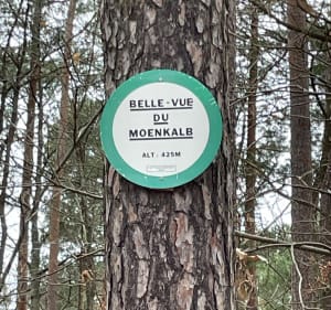 Montée du Moenkalb - Heiligenstein - 3