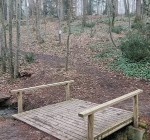 De Savonnières à Ballan par les bois - Savonnières - 4