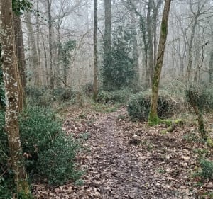 De Savonnières à Ballan par les bois - Savonnières - 5