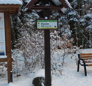 Pętelka na Cięcień - szczyt Beskidu wyspowego - Pogorzany - 3