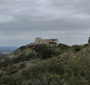 Saint Victor - La-Coste , autour du Castellas - Saint-Victor-la-Coste - 4