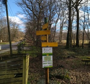 Balade en forêt de Chaux et Parc Sauline - Segolene - 5
