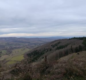 Mont Chatard au départ de Saint Verrand - Saint-Vérand - 5