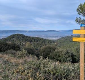 Tête du loup, et Bassin de St-Christophe - Rognes - 3