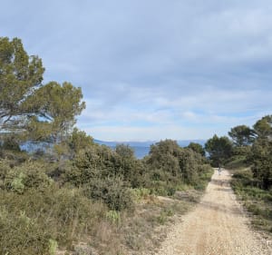 Tête du loup, et Bassin de St-Christophe - Rognes - 4