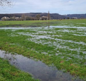 Boucle de brotonne par forêt  et marais - Arelaune-en-Seine - 5