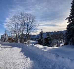Balade facile autour de Praz de Lys au soleil - Taninges - 3