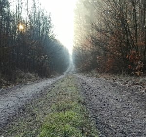 Na rozdrożu - Licze - 3