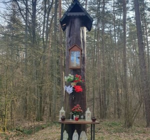 W Górznieńsko-Lidzbarskim Parku Krajobrazowym" - Wielkie Leźno - 3