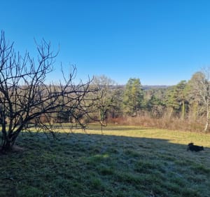 Circuit des 4 bornes, par le Château du Sablou - Bars - 3