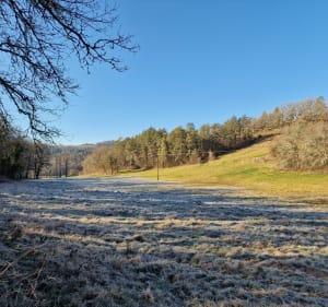 Circuit des 4 bornes, par le Château du Sablou - Bars - 5