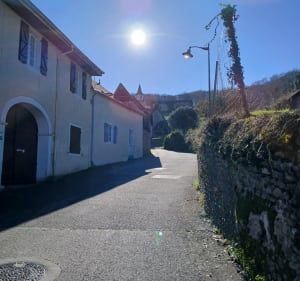 Randonnée depuis Artiguelouve par Arbus - Artiguelouve - 4