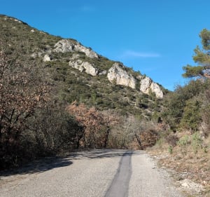Par les Arnajons et St-Estève - Le Puy-Sainte-Réparade - 3