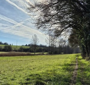 Balade à travers champs et bois à La Vallade - Magnac-sur-Touvre - 3