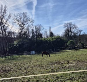 Balade à travers champs et bois à La Vallade - Magnac-sur-Touvre - 4