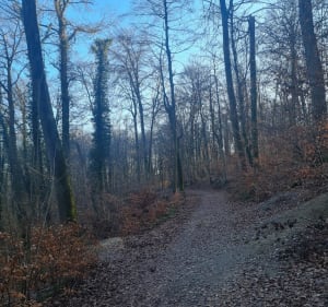 Boucle du Tannenwald - Mulhouse - 4