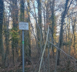 Boucle du Tannenwald - Mulhouse - 5