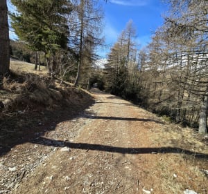 Balade vers le Col de  Festre - Dévoluy - 5