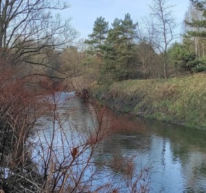 Marsz rekreacyjny brzegiem Przemszy z Brzęczkowici - Mysłowice - 3