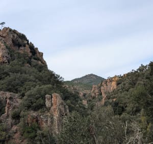 Dent de l'Ours de la gare d'Anthéor - Saint-Raphaël - 4