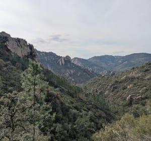 Dent de l'Ours de la gare d'Anthéor - Saint-Raphaël - 5