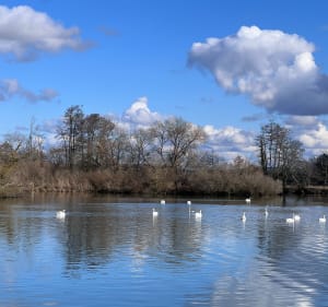 Rupt sur Saône / Soing - Rupt-sur-Saône - 3