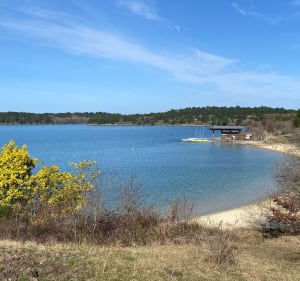 Promenade Lac d’Arjuzanx - Morcenx-la-Nouvelle - 3