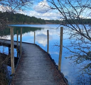 Promenade Lac d’Arjuzanx - Morcenx-la-Nouvelle - 5
