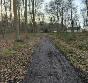 Foret de la Vaupaliere - La Vaupalière - 4