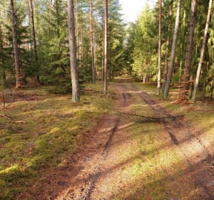 Pętla przy Okonek - Okonek - 3