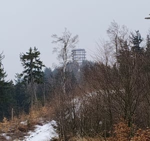 Ze Starego Lesieńca na Dzikowiec - Boguszów-Gorce - 3