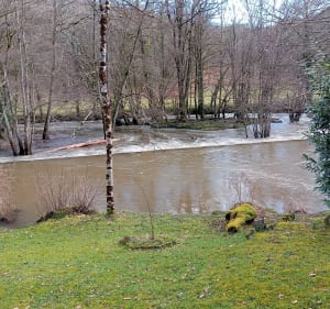 Boucle de l'Auvézère, Moulin du Pervendoux et des ruisseaux - Génis - 4