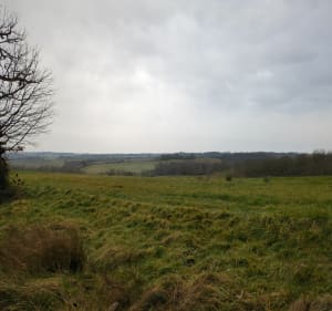 Forêt de Mazous - Castillon-Debats - 3