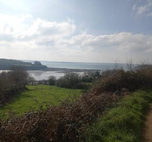Visite entre terre et mer du sud de Plougastel - Plougastel-Daoulas - 3